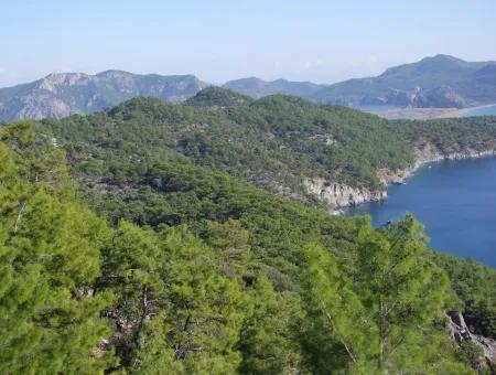 Ekincik Çandır Arasın'da Deniz Manzaralı Kelepir Emlak Satılık Arsa