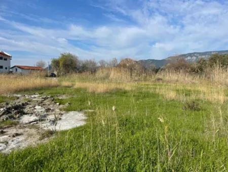 Dalyan'da 6800 M2 %5 Konut İmarlı Satılık Arsa